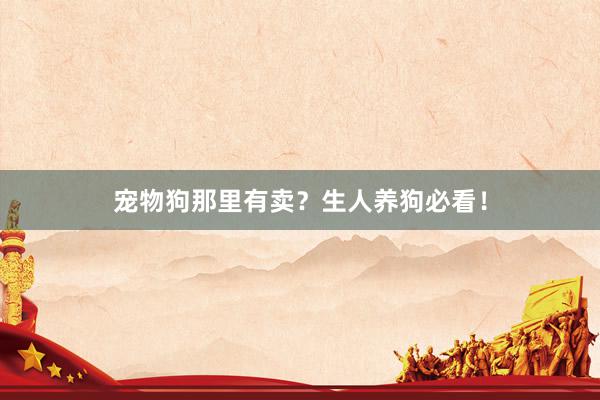 宠物狗那里有卖?生人养狗必看!