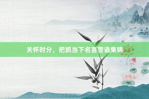关怀时分,把抓当下名言警语集锦